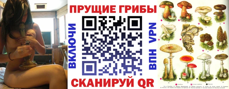 Галлюциногенные грибы GOLDEN TEACHER  Шали 